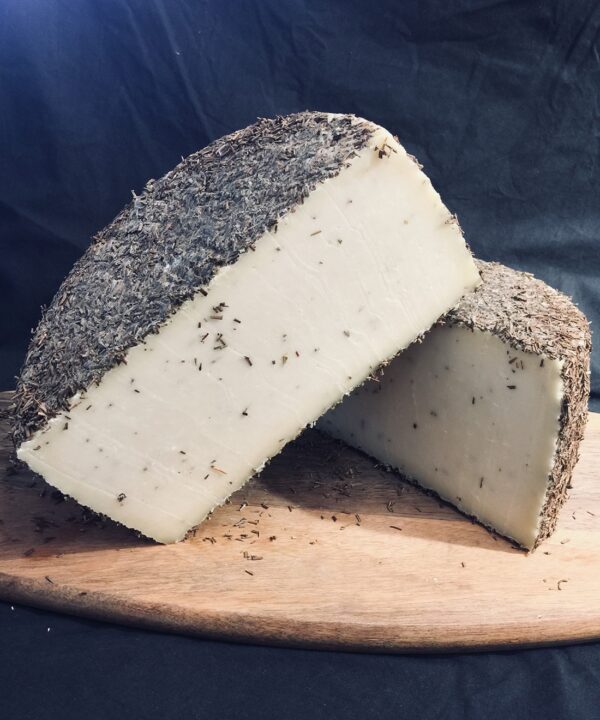 Manchego au romarin